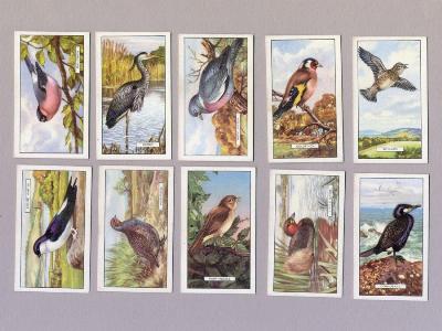 Gallahers - British Birds