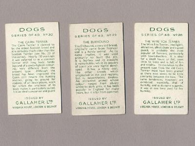 Dogs, A series -  select me for a larger image