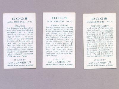 Dogs, Second series -  select me for a larger image