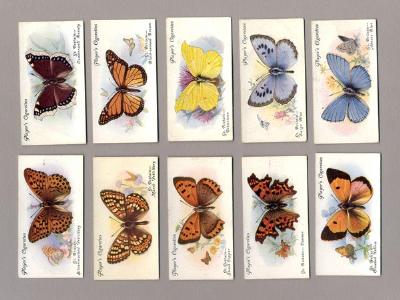 Butterflies, 1932 -  select me for a larger image