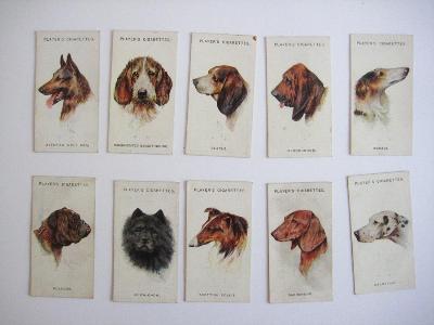 John Players - Dogs, head portraits