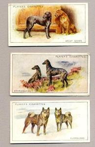 Dogs, scenic background -  select me for a larger image