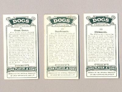 Dogs, scenic background -  select me for a larger image