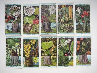 W D & H O Wills - Flowering Trees & Shrubs