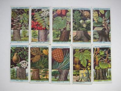 Flowering Trees & Shrubs -  select me for a larger image