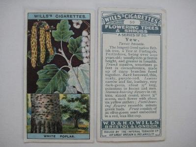 Flowering Trees & Shrubs -  select me for a larger image