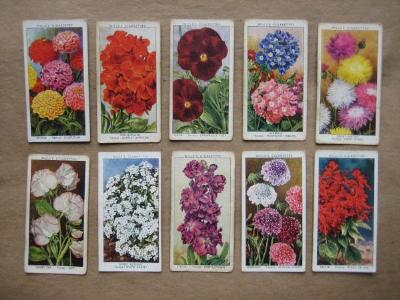 W D & H O Wills - Garden Flowers by Sudell
