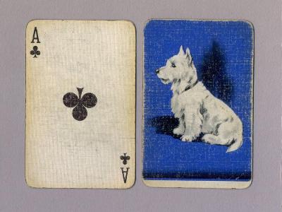 Playing Cards - West Highland White cards
