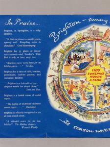 Brighton Hove Holiday Leaflets -  select me for a larger image