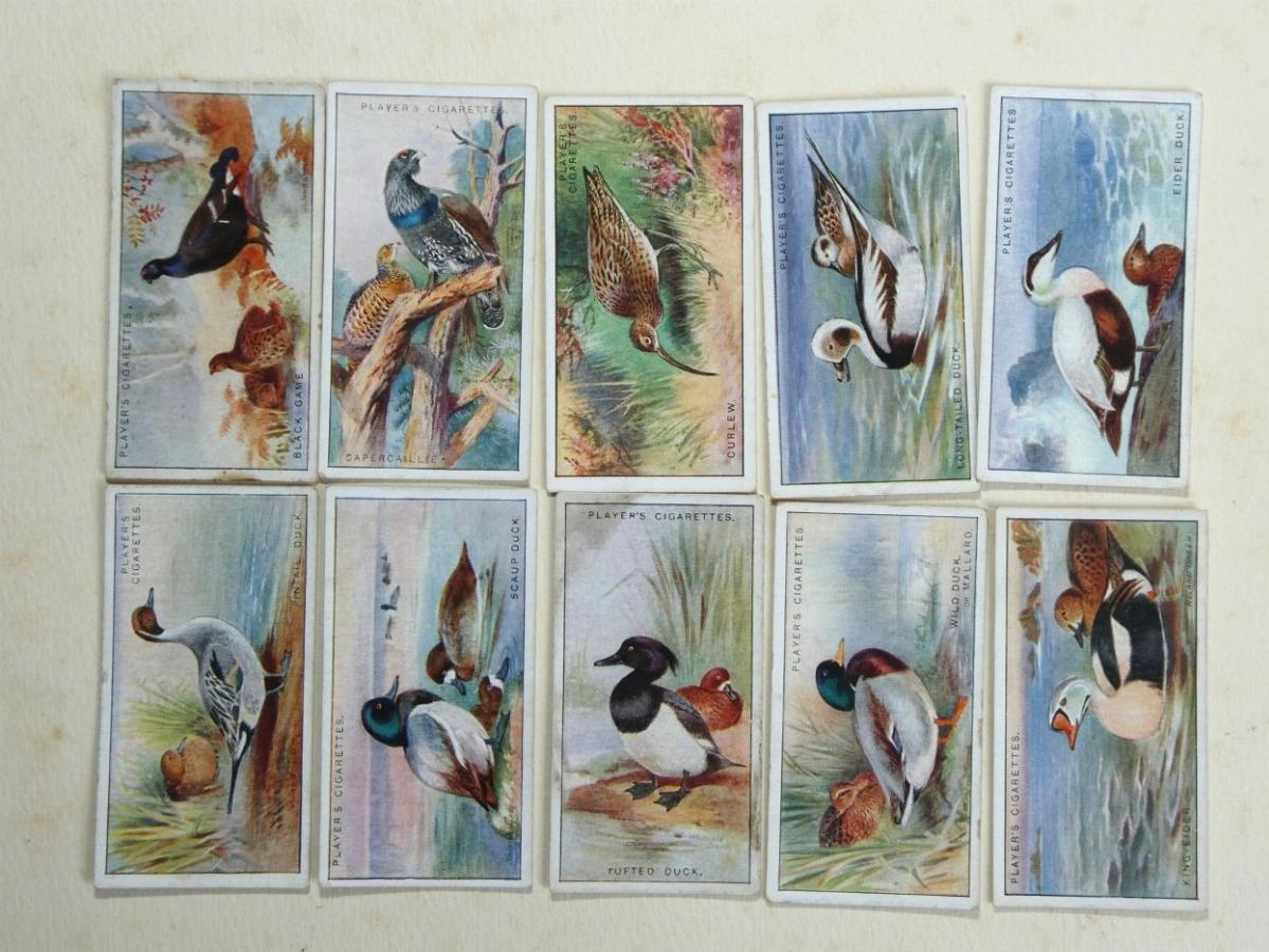 cigarette catalog Cigarette card values : catalogue of cigarette and other trade cards : Free  Download, Borrow, and Streaming : Internet Archive