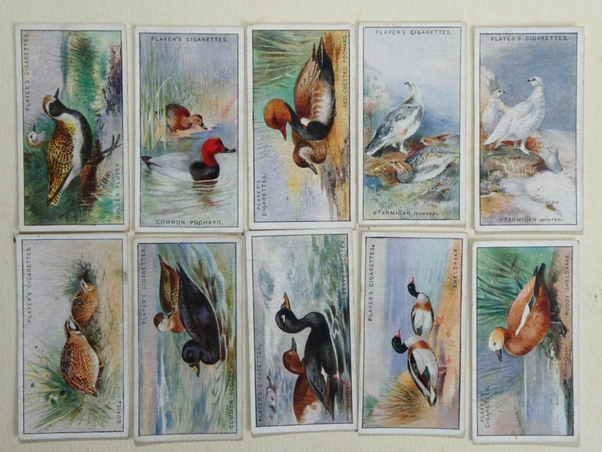 Game Birds and Wild Fowl. Cigarette card set by John Players
