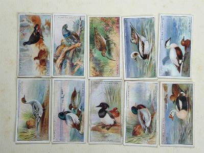 Game Birds and Wild Fowl -  select me for a larger image