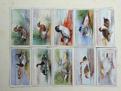 Game Birds and Wild Fowl -  select me for a larger image