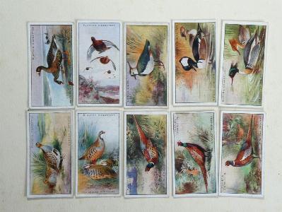 Game Birds and Wild Fowl -  select me for a larger image