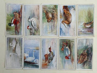 Game Birds and Wild Fowl -  select me for a larger image