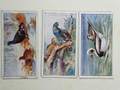 Game Birds and Wild Fowl -  select me for a larger image