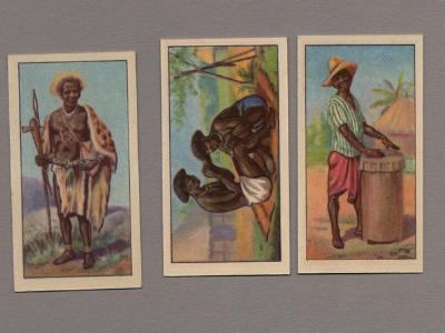 Raydex, CWS, African types -  select me for a larger image