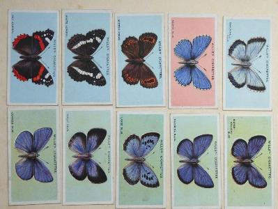 British Butterflies -  select me for a larger image