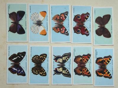 British Butterflies -  select me for a larger image