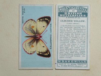 British Butterflies -  select me for a larger image