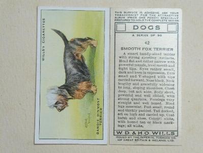 Dogs, A series -  select me for a larger image