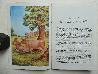 A Day in the Country -  select me for a larger image