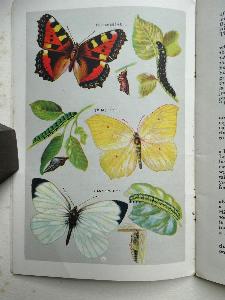 A Day in the Country -  select me for a larger image