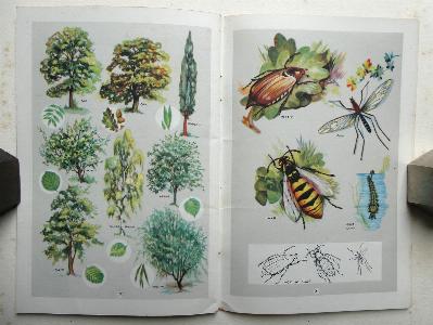 A Day in the Country -  select me for a larger image