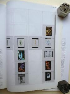 Radical Fashion by Claire Wilcox -  select me for a larger image