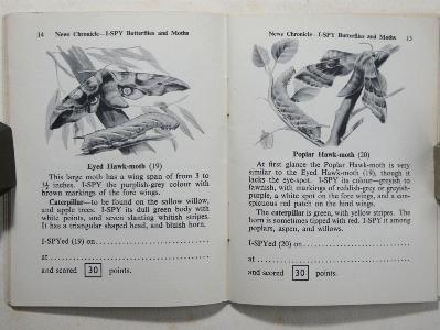 I-Spy Butterflies and Moths -  select me for a larger image