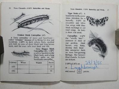 I-Spy Butterflies and Moths -  select me for a larger image