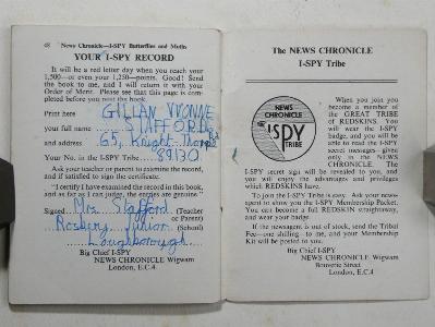 I-Spy Butterflies and Moths -  select me for a larger image