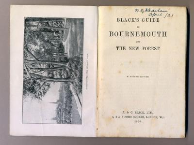 Bournemouth and New Forest -  select me for a larger image