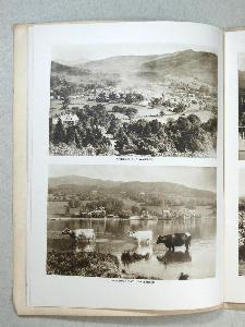 Lovely Lakeland -  select me for a larger image