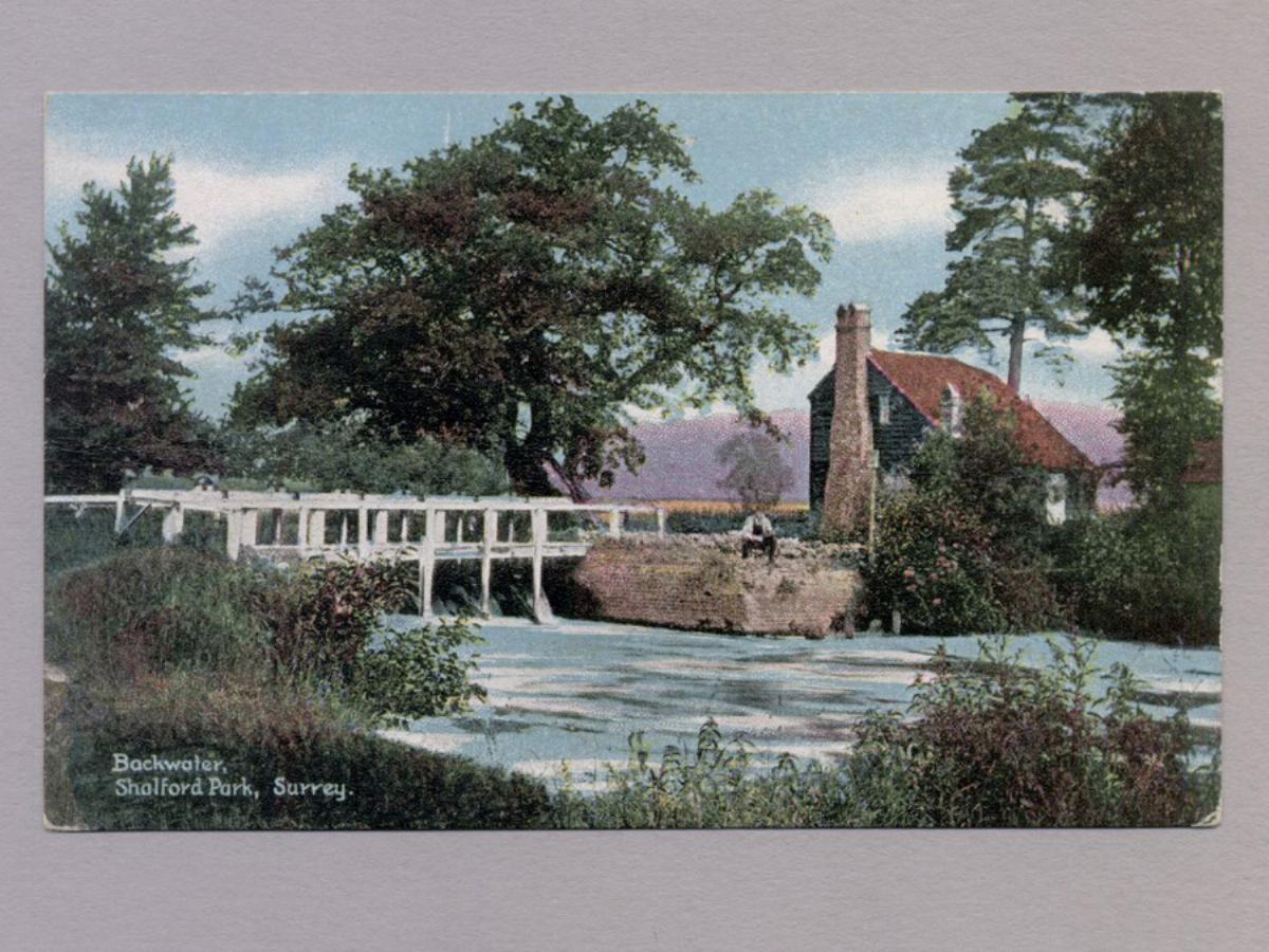 Shalford Park, Backwater -  select me for a larger image